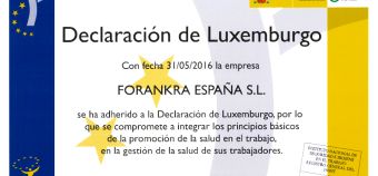 Luxenburgoko Adierazpena